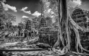 Photographie contemporaine - Temple ancien dans la forêt
