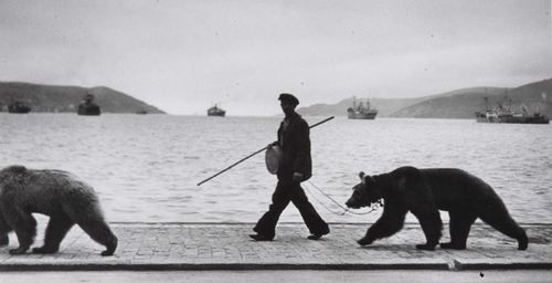 Brassai Photographique - Montre d'ours au long du bosphore 1953