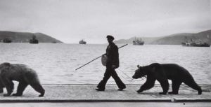 Photographie contemporaine - Montre d'ours au long du bosphore 1953