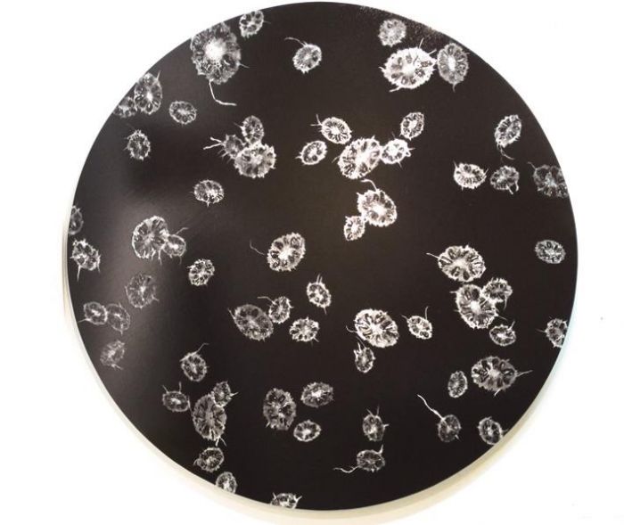 Cai Bing Types de peintures - Cellule noire