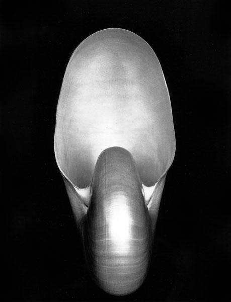 Edward Henry Weston Photographique - Nautilus 1927