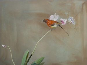 Huang Xu œuvre - Orchidée dans la vallée