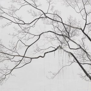 Lian Xueming œuvre - Branche de La Forêt