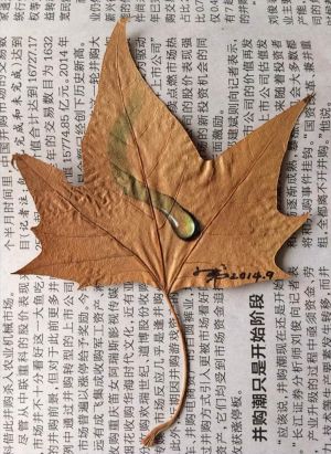 Zhou Xiaodi œuvre - Au fur et à mesure de la feuille