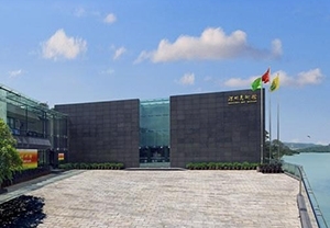 Musée des beaux - arts de Shenzhen