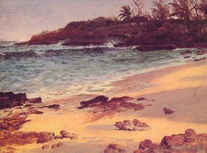 Albert Bierstadt œuvres - Crique de Bahama