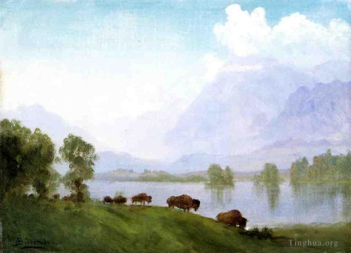 Albert Bierstadt Peinture à l'huile - Pays des buffles