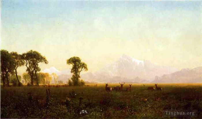 Albert Bierstadt Peinture à l'huile - Cerfs paissant Grand Tetons Wyoming