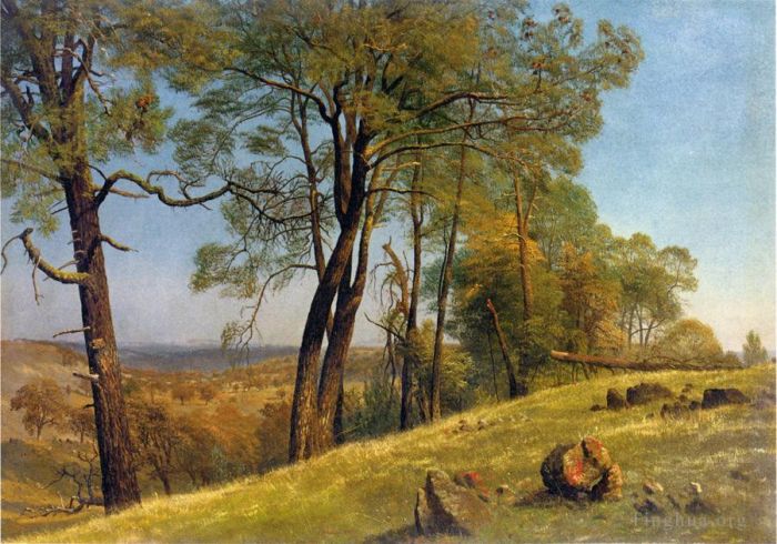 Albert Bierstadt Peinture à l'huile - Paysage Comté de Rockland en Californie