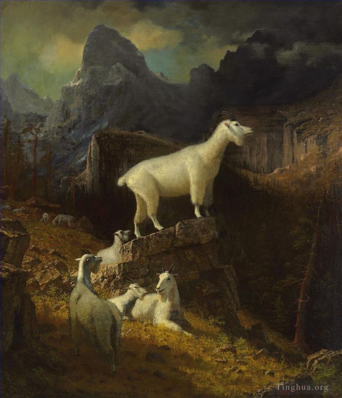 Albert Bierstadt Peinture à l'huile - Chèvres des montagnes Rocheuses