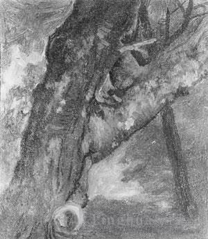 Albert Bierstadt Peinture à l'huile - Etude d'un arbre luminisme