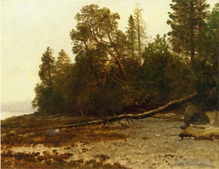 Albert Bierstadt Peinture à l'huile - L'arbre tombé