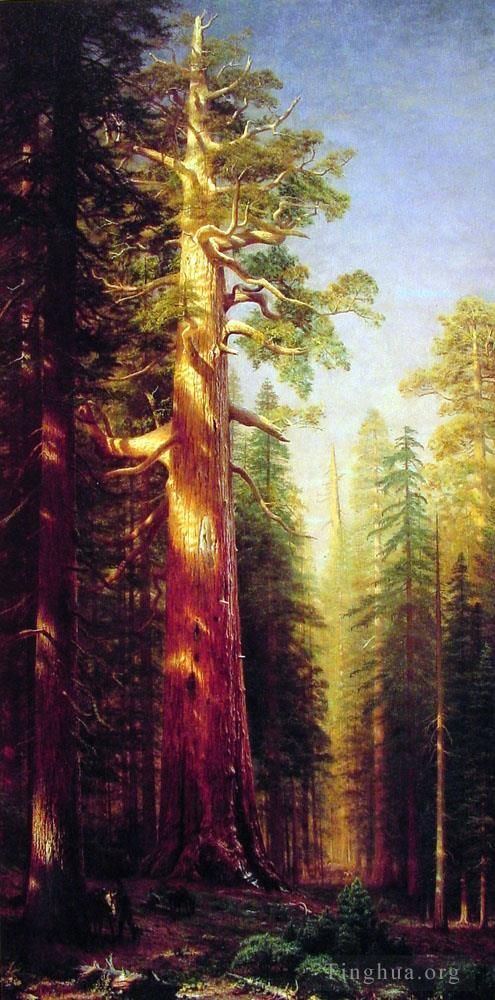 Albert Bierstadt Peinture à l'huile - Les grands arbres