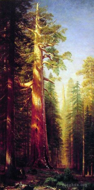 Albert Bierstadt œuvres - Les grands arbres