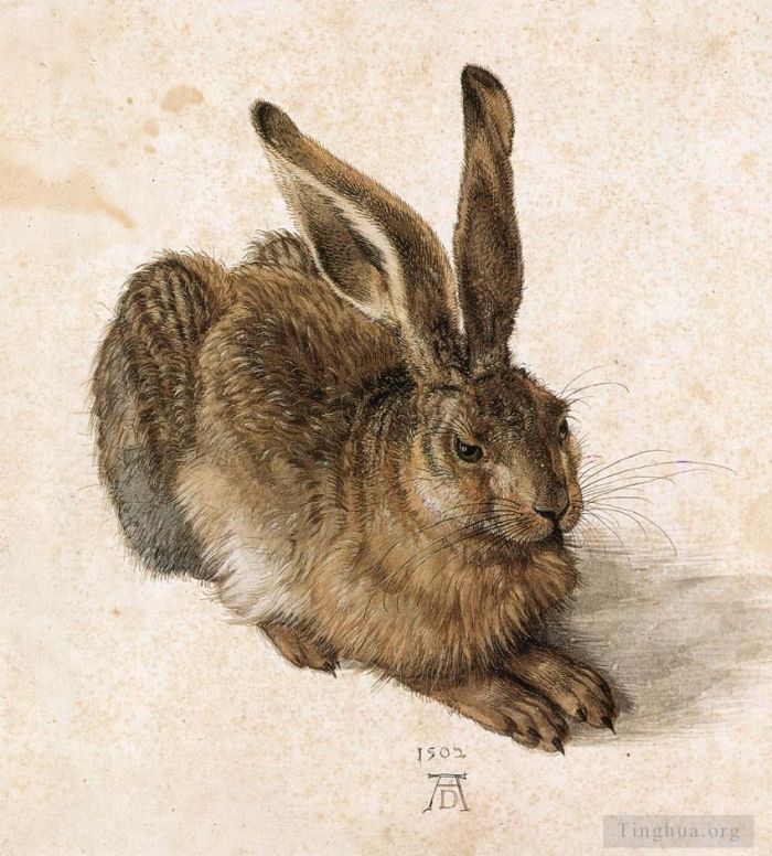 Albrecht Dürer Types de peintures - Un jeune lièvre