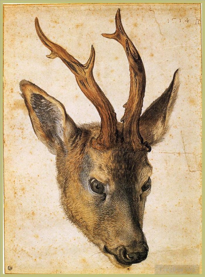 Albrecht Dürer Types de peintures - Tête de cerf