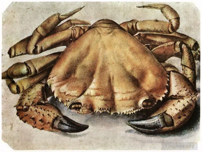 Albrecht Dürer Types de peintures - Homard