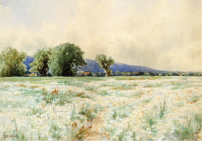 Alfred Thompson Bricher Peinture à l'huile - Le champ de marguerites