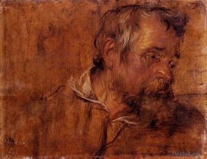 Sir Anthony van Dyck œuvres - Étude de profil d'un vieil homme barbu