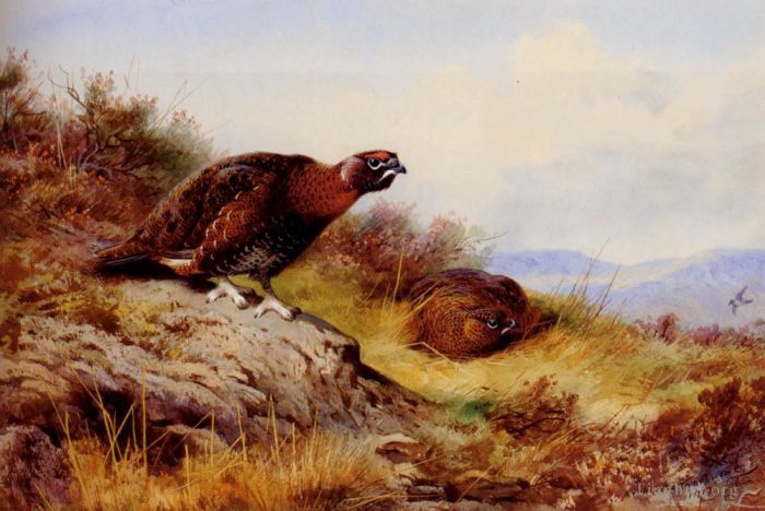 Archibald Thorburn FZS Peinture à l'huile - Tétras des saules sur la lande