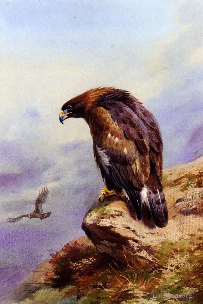 Archibald Thorburn FZS Types de peintures - Un aigle royal