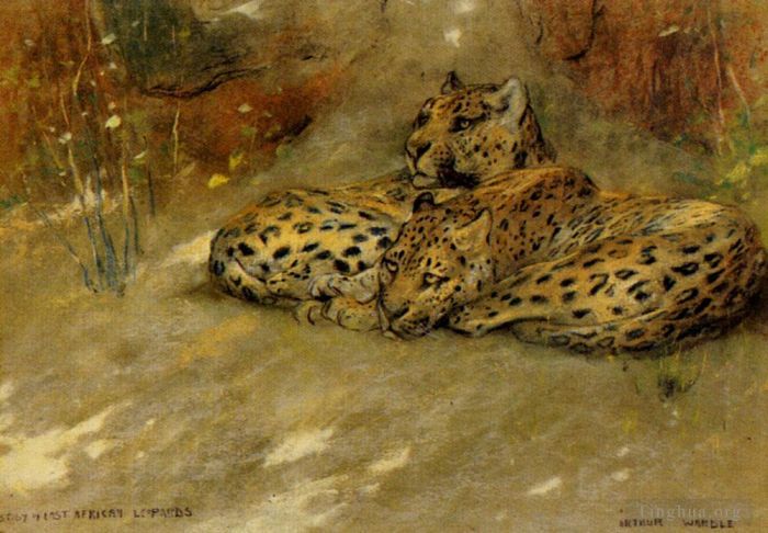 Arthur Wardle Peinture à l'huile - Étude des léopards d'Afrique de l'Est