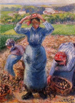 Camille Pissarro œuvres - Paysans récoltant des pommes de terre 1882