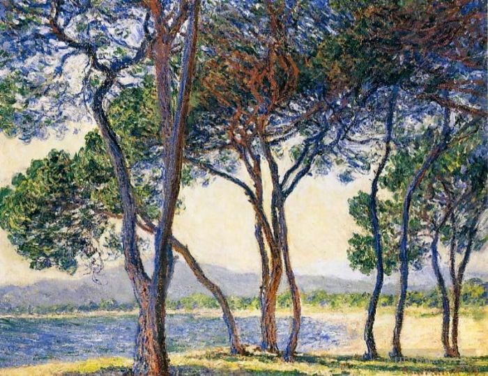 Claude Monet Peinture à l'huile - Arbres au bord de la mer à Antibes