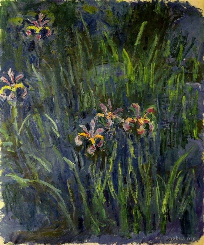 Claude Monet Types de peintures - Iris II