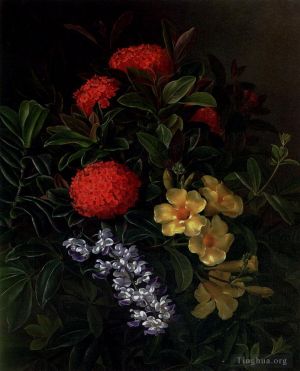 Johan Laurentz Jensen œuvres - Allemanda Ixora et orchidées