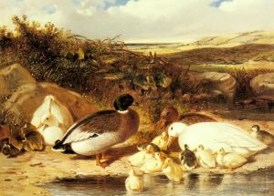 John Frederick Herring Sr œuvres - Canards colverts et canetons sur une rivière