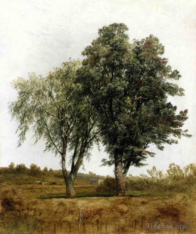John Frederick Kensett Peinture à l'huile - Une étude des arbres