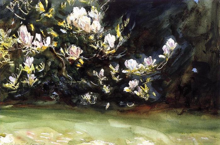 John Singer Sargent Types de peintures - Magnolias