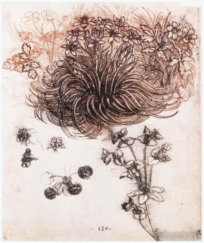 Léonard de Vinci Types de peintures - Étoile de Bethléem et autres plantes