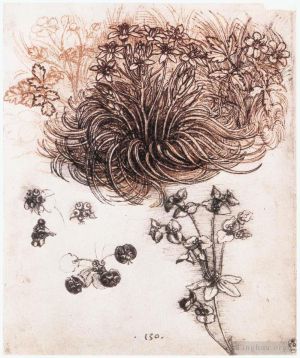 Léonard de Vinci œuvres - Étoile de Bethléem et autres plantes