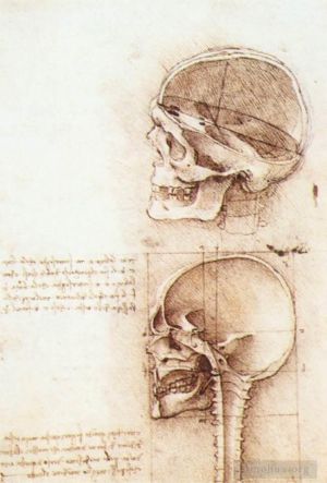 Léonard de Vinci œuvres - Études du crâne humain