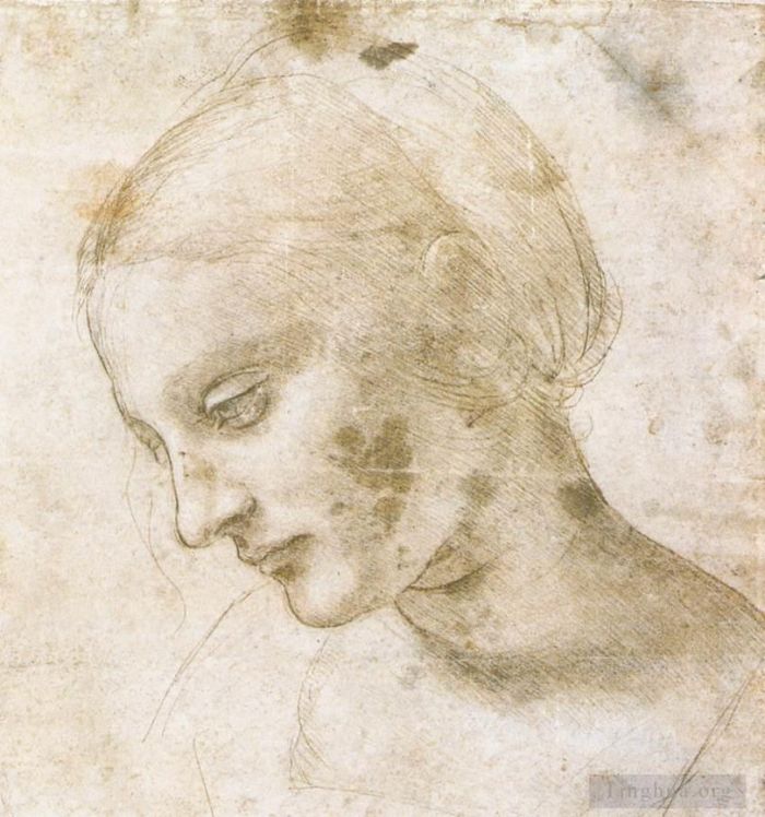Léonard de Vinci Types de peintures - Etude d'une tête de femme