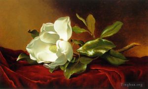 Martin Johnson Heade œuvres - Un magnolia sur du velours rouge