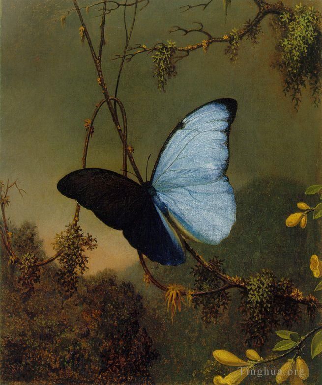 Martin Johnson Heade Peinture à l'huile - Papillon Morpho Bleu