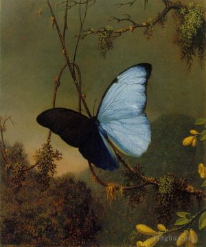 Martin Johnson Heade œuvres - Papillon Morpho Bleu