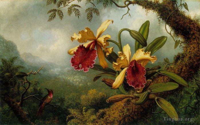 Martin Johnson Heade Peinture à l'huile - Orchidées et Colibri