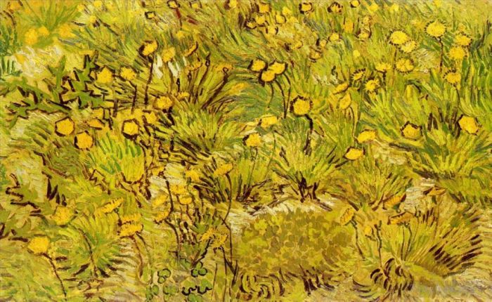 Vincent Willem Van Gogh Peinture à l'huile - Un champ de fleurs jaunes