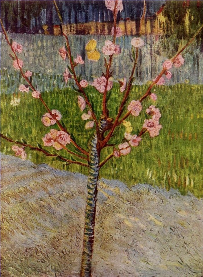 Vincent Willem Van Gogh Peinture à l'huile - Amandier en fleurs