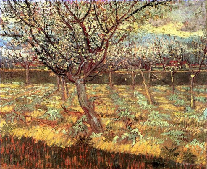 Vincent Willem Van Gogh Peinture à l'huile - Abricotiers en fleurs
