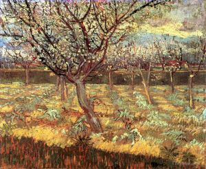 Vincent Willem Van Gogh œuvres - Abricotiers en fleurs