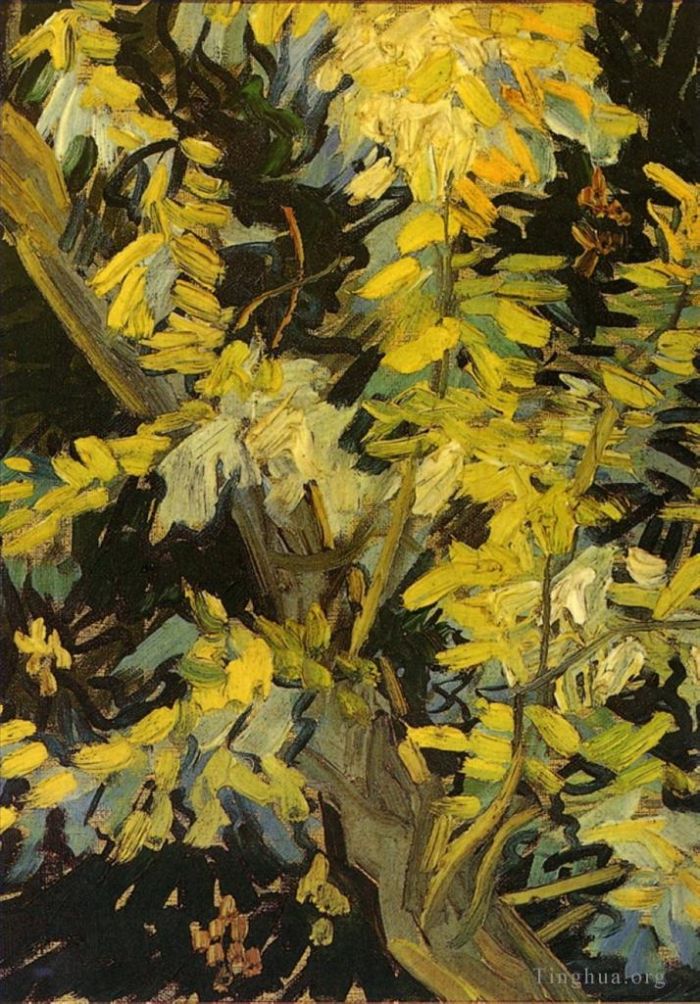 Vincent Willem Van Gogh Peinture à l'huile - Branches d'acacia en fleurs