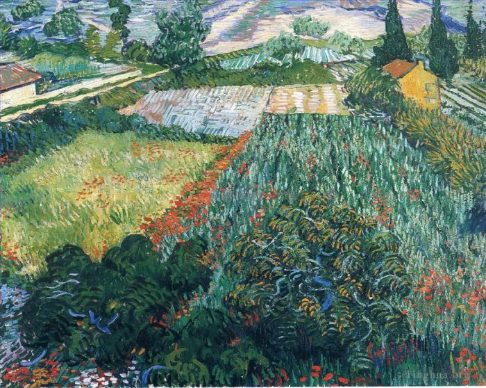 Vincent Willem Van Gogh Peinture à l'huile - Champ de coquelicots 2