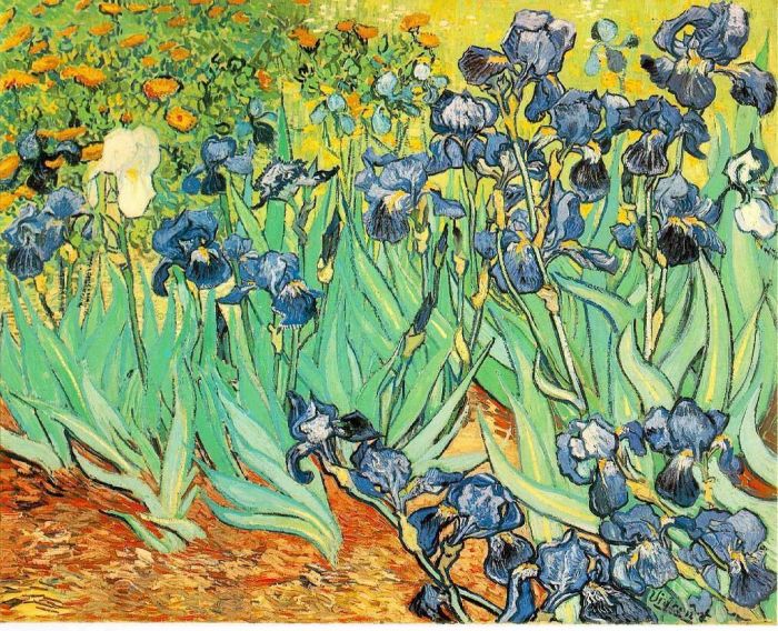 Vincent Willem Van Gogh Peinture à l'huile - Iris 2