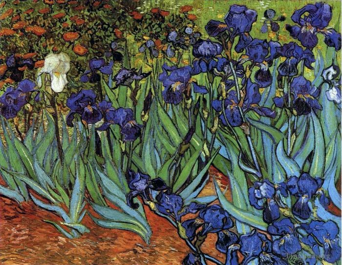 Vincent Willem Van Gogh Peinture à l'huile - Iris
