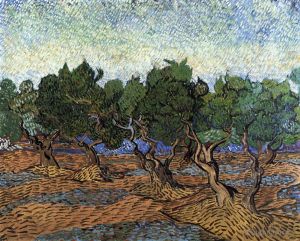 Vincent Willem Van Gogh œuvres - Oliveraie 2